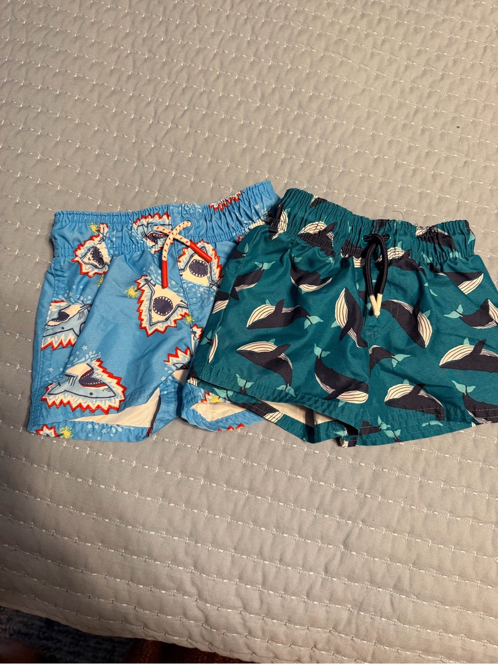12 month Kids Blue Whale & Shark Swim Shorts Set